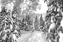 winter landscape by Stan Anderson